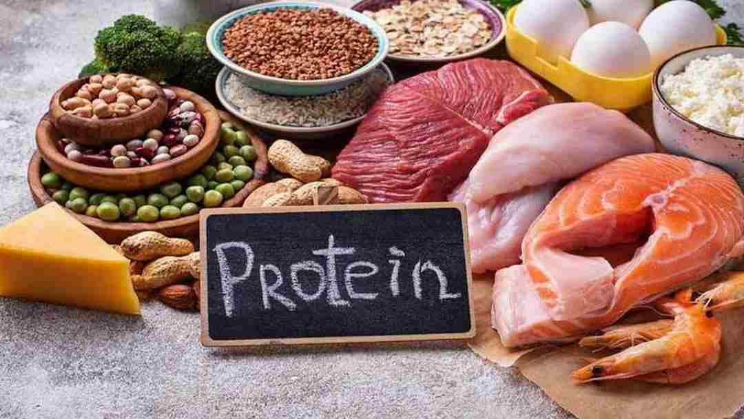Protein là dưỡng chất quan trọng cho con người