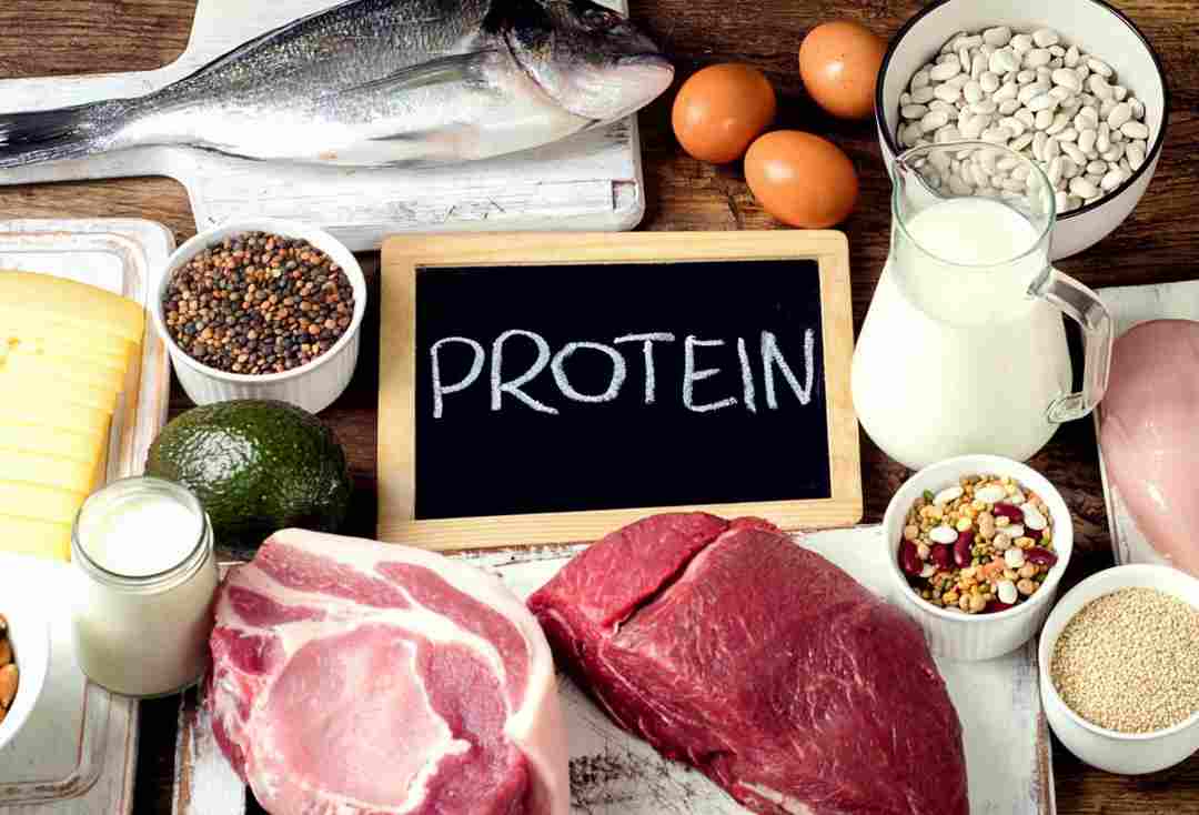 Cung cấp lượng protein phù hợp là vô cùng quan trọng
