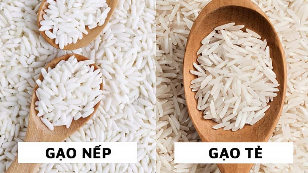 Cách phân biệt gạo nếp, gạo tẻ