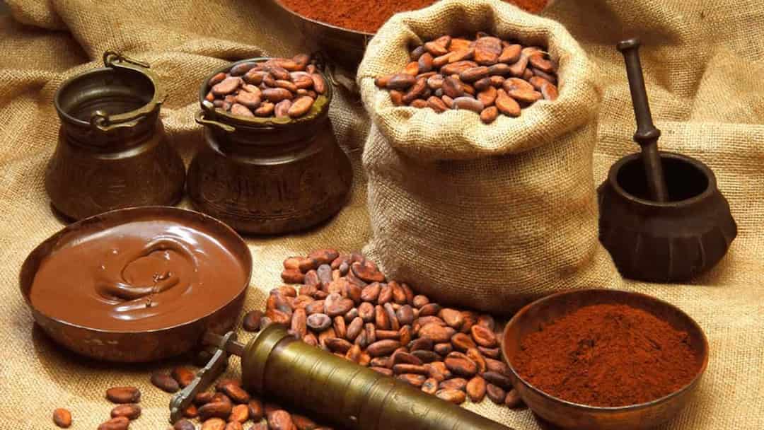 Đắp Mặt nạ bột cacao giúp săn chắc da