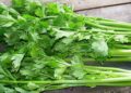 Cần tây được biết đến là loại rau quen thuộc