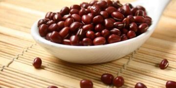 Đậu đỏ cực kỳ hữu ích cho sức khỏe của người dùng