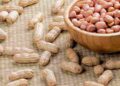 Đậu phụng chứa nhiều chất dinh dưỡng cần thiết cho cơ thể