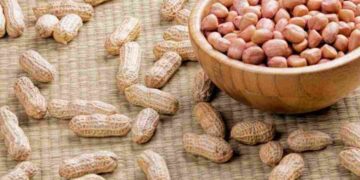 Đậu phụng chứa nhiều chất dinh dưỡng cần thiết cho cơ thể