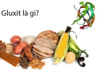 Gluxit là chất gì?