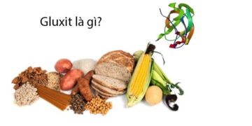 Gluxit là chất gì?