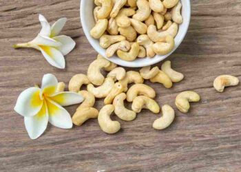 Hạt điều giúp cơ thể tránh xa nhiều loại bệnh từ sớm