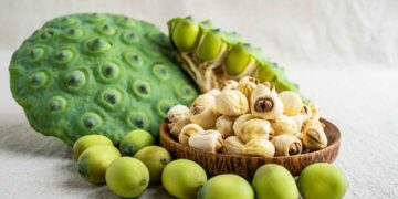 Hạt sen ở bên trong đài sen của cây hoa sen