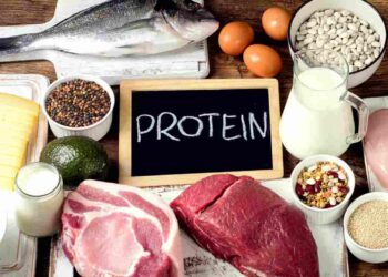 Cung cấp lượng protein phù hợp là vô cùng quan trọng