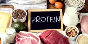 Cung cấp lượng protein phù hợp là vô cùng quan trọng