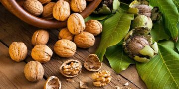 Hạt óc chó hỗ trợ xương trở nên chắc khỏe