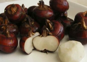 Củ năng được chế biến thành nhiều món ăn