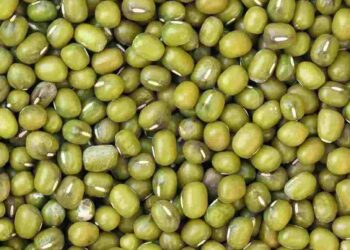 Đậu xanh mang nhiều lợi ích cho sức khỏe