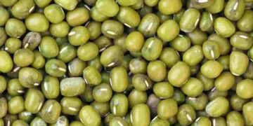 Đậu xanh mang nhiều lợi ích cho sức khỏe