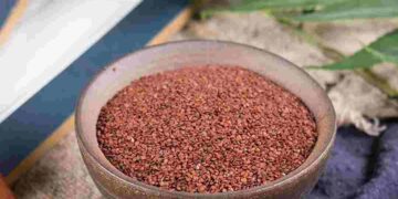 Hạt ngũ hoa với những dưỡng chất làm đẹp kỳ diệu