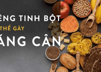 Ăn tinh bột có tăng cân không?