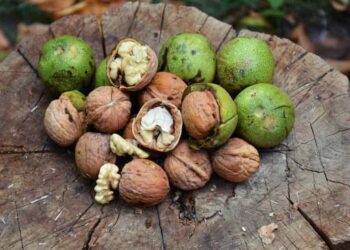 Các loại hạt óc chó phân theo màu sắc