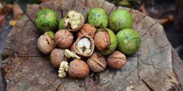 Các loại hạt óc chó phân theo màu sắc