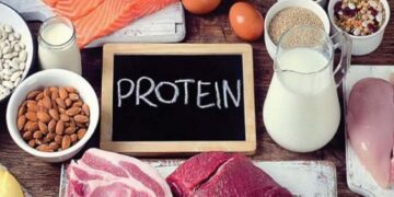 Giúp tăng trưởng và duy trì các mô