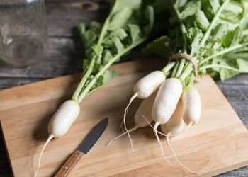 Các thành phần của củ cải trắng