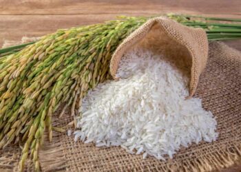 Gạo Tẻ Là Gì?