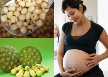 Bà bầu có ăn hạt sen được không