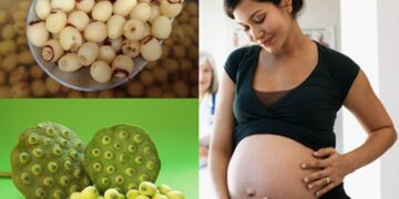 Bà bầu có ăn hạt sen được không