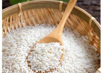 Gạo nếp là gì?