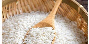 Gạo nếp là gì?