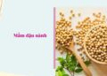 Lưu ý khi sử dụng mầm đậu nành cho người không nên dùng