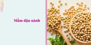 Lưu ý khi sử dụng mầm đậu nành cho người không nên dùng