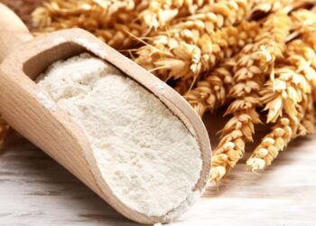 4 loại yến mạch giảm cân trên thị trường