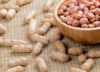 Tìm hiểu về nguồn gốc và dinh dưỡng của đậu phộng