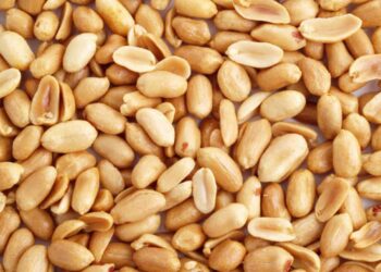 Cách bảo quản đậu phộng tươi