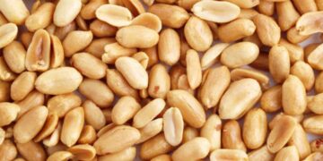 Cách bảo quản đậu phộng tươi