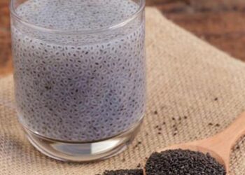 Hỗ trợ điều trị tình trạng viêm túi thừa