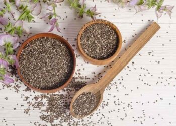 Tại sao Mứt hạt Chia lại tốt cho sức khỏe?