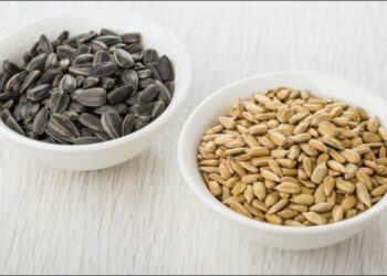 Ảnh hưởng xấu đến hoạt động của dạ dày