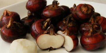 Thành phần của củ năng