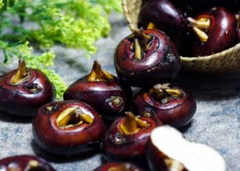 Tác dụng của củ năng