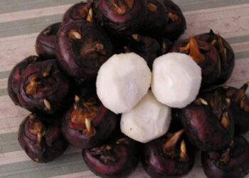 Công dụng của củ năng