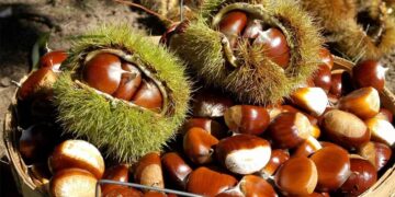 Hỗ trợ tốt cho tim mạch