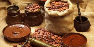 Đắp Mặt nạ bột cacao giúp săn chắc da