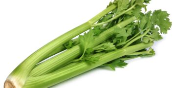 Cách bảo quản nước ép cần tây sau khi làm xong