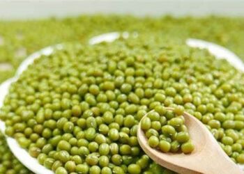 Những tác dụng của đậu xanh với sức khỏe