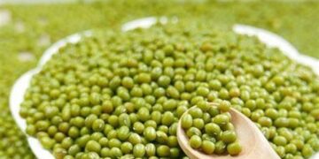 Những tác dụng của đậu xanh với sức khỏe