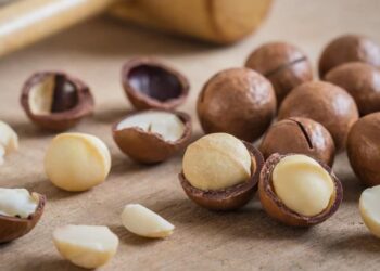 Giới thiệu về hạt macca