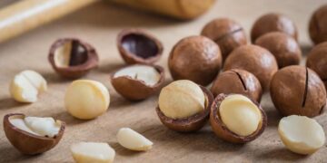 Giới thiệu về hạt macca