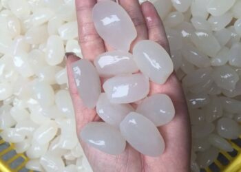 Hãy đặt hạt đác trong môi trường thoáng mát 