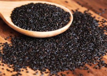 Cách chọn hạt é tốt nhất để làm nước hạt é